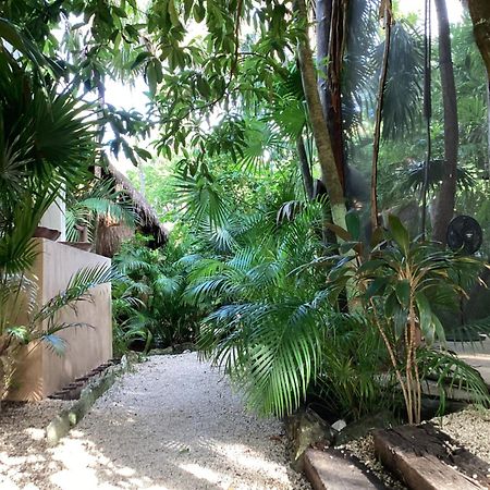 Yaxchen Tulum Cabanas & Cenote Kültér fotó