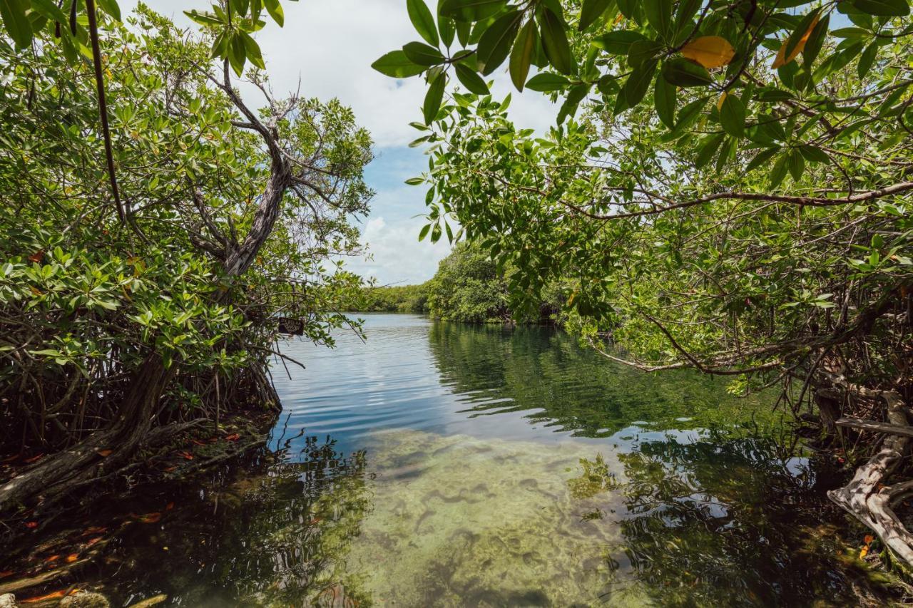 Yaxchen Tulum Cabanas & Cenote Kültér fotó