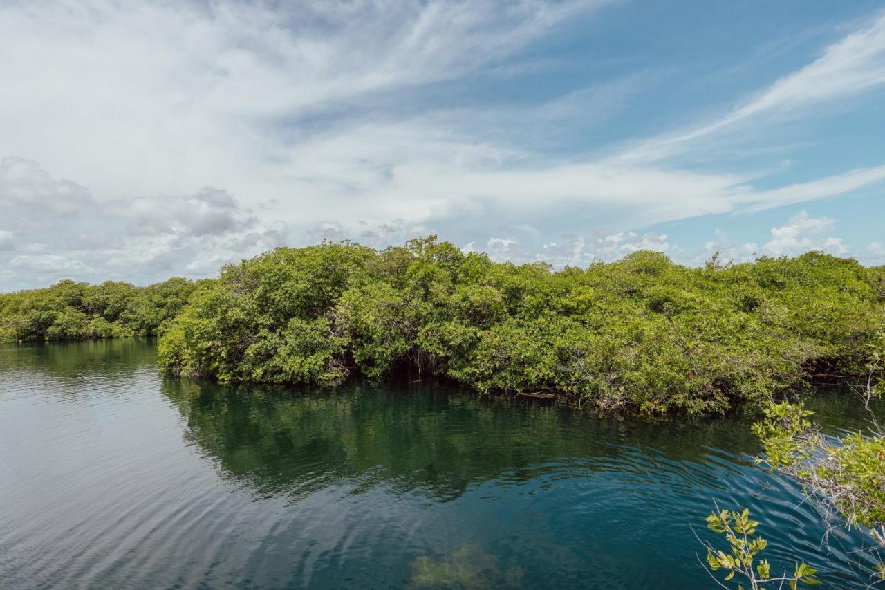 Yaxchen Tulum Cabanas & Cenote Kültér fotó