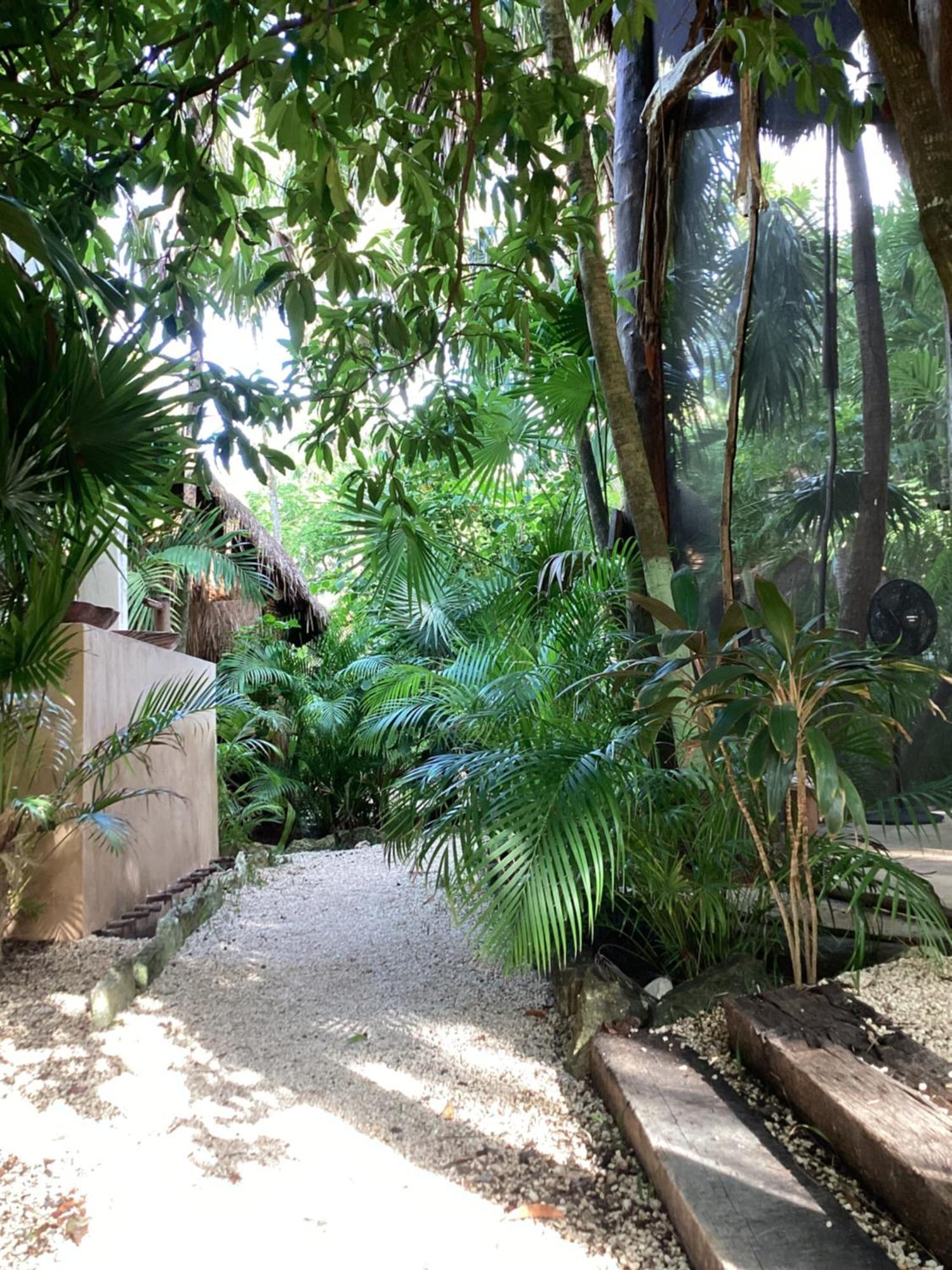 Yaxchen Tulum Cabanas & Cenote Kültér fotó